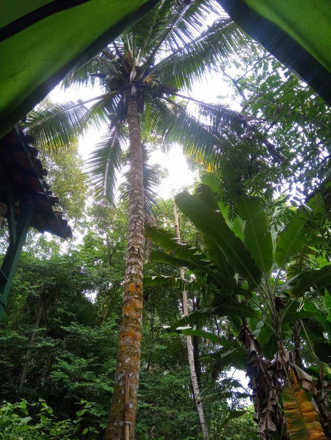 Camping Tropico De Capricornio - Ilhabela Exterior foto